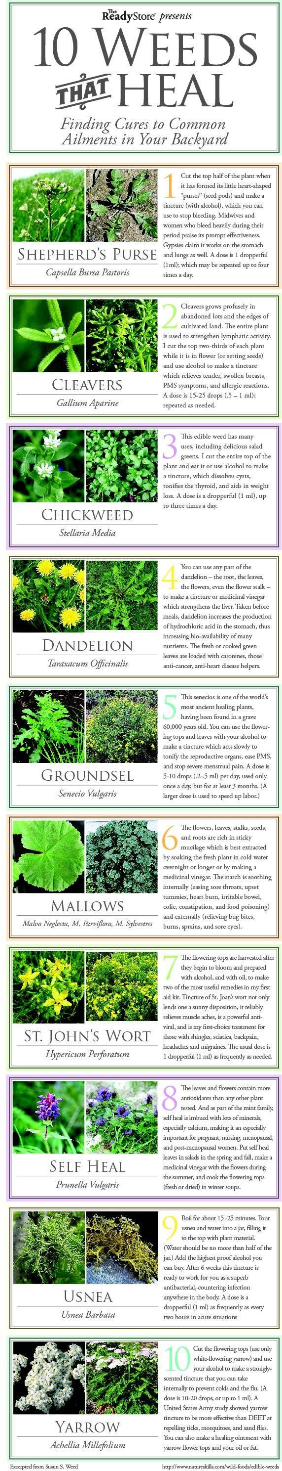 Weeds that heal