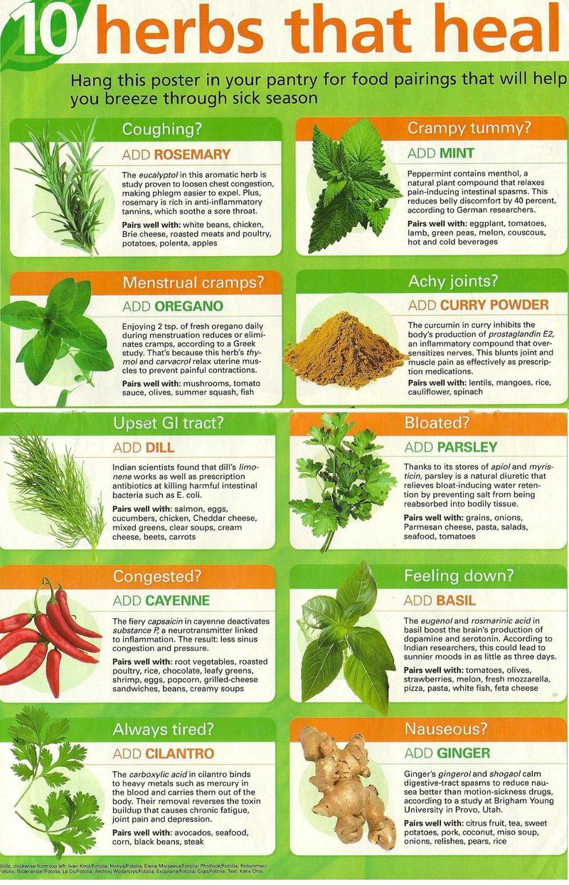 natural healing herbs