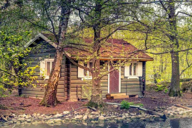 Top 7 Best States for Off-Grid Living