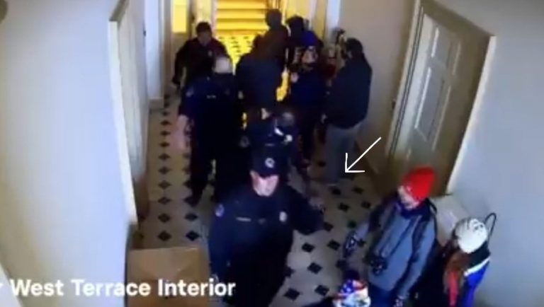 Violent Insurrection? New Security Footage From Jan 6th Shows Capitol Police Officers Herding Protesters Inside As They Enter The Capitol – Then Stood Back (Video)