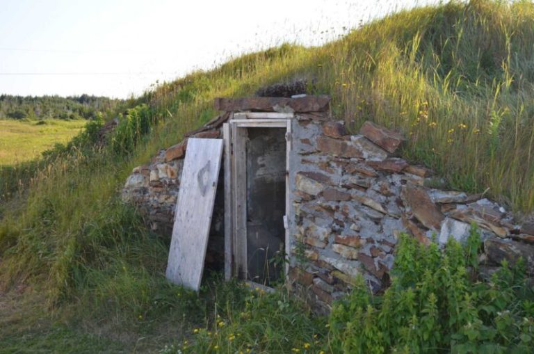 Root Cellar Basics: What You Need to Know