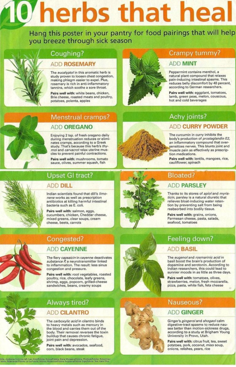 10 Herbs that Heal