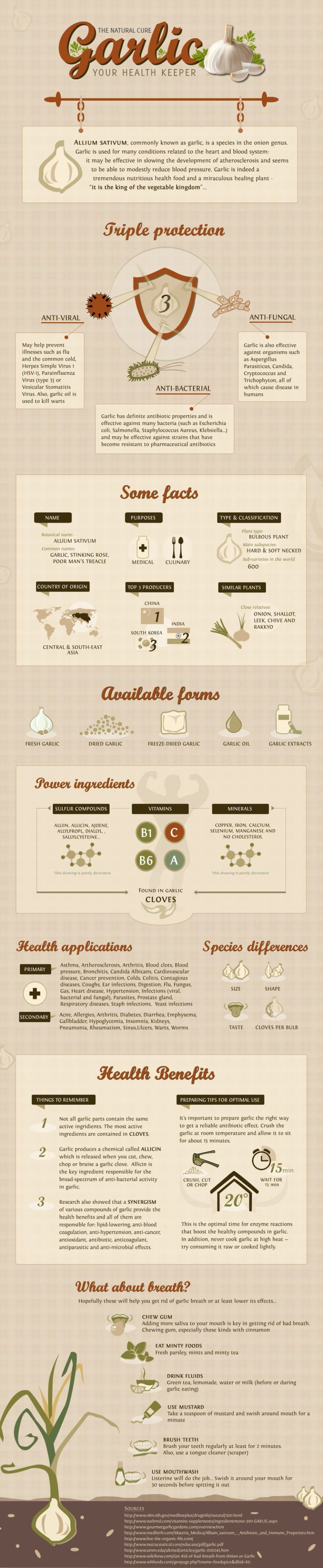 Everything you ever wanted to know about Garlic & it’s uses