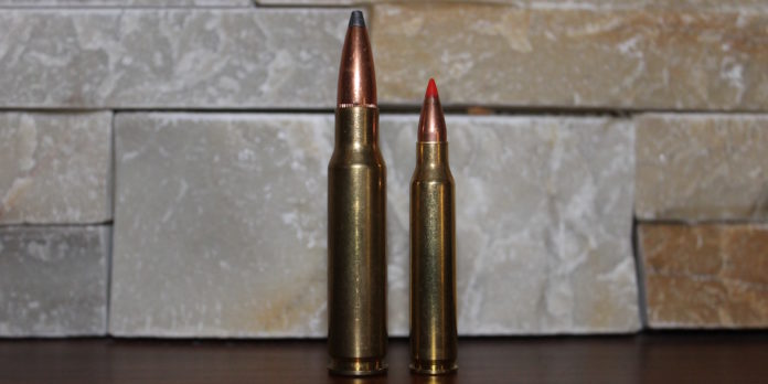 223 vs 308 ammo