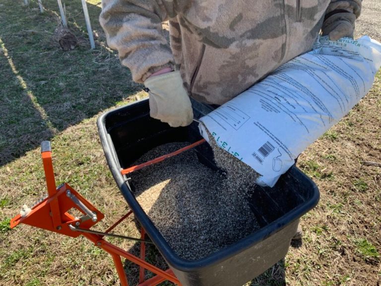 How to Plant a Dove Field Quick and Easy This Spring