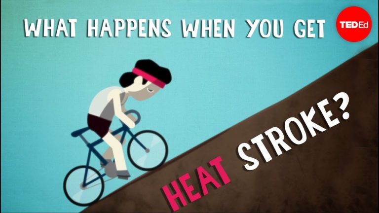 Heat Stroke Symptoms | 10 Signs of Heat Stroke