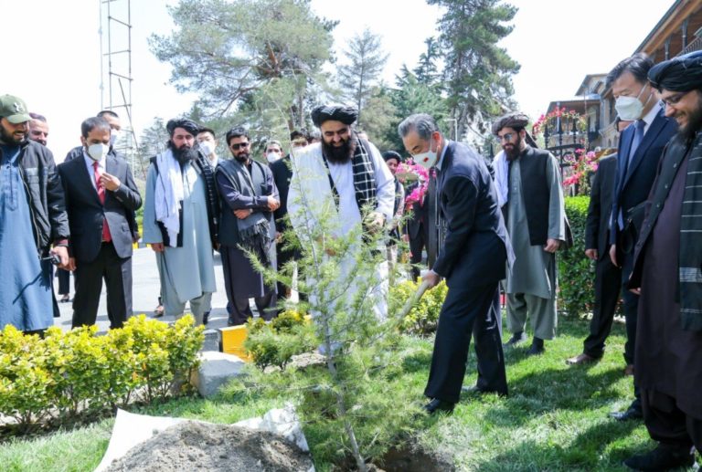 Meanwhile… Chinese Foreign Minister Flies to Kabul, Afghanistan and Plants a Tree with Taliban Government Leaders