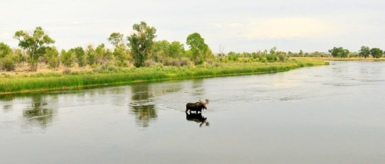 Martha Williams, the New Director of USFWS, Talks Grizzly Bears, Hunting on Refuges, and the Challenge of Getting More Americans Outdoors