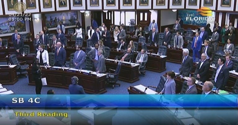 Lefty Protesters Screech Like Demons as Florida House Votes in Favor to Strip Disney’s Self Governing Status (VIDEO)