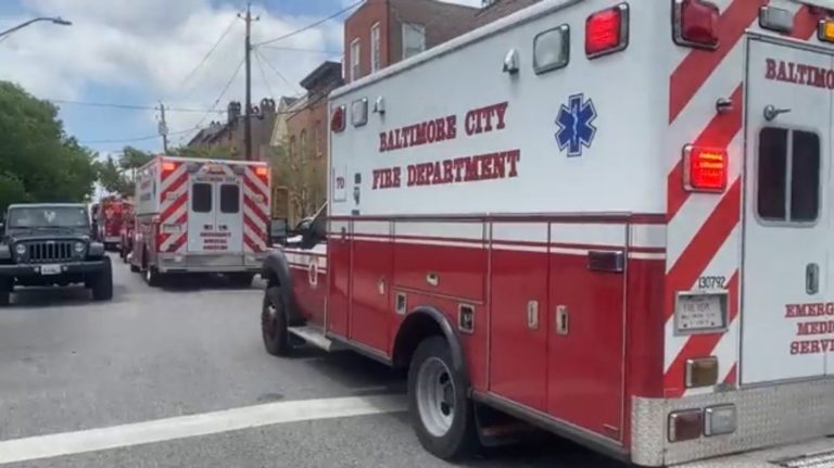 Update: One Hurt After Fight Breaks Out Between Female Students at Baltimore High School