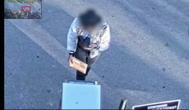 EXCLUSIVE: Part 1 – Surveillance Videos Show Alleged Ballot Traffickers Take Photos on Their Ballots in Detroit, MI