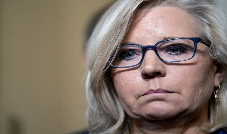 HAHA! Loser Liz Cheney Lectures Republicans on Confronting President Trump