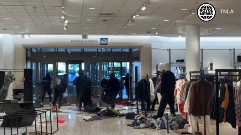 Video: Up to $100,000 in Merchandise Stolen From Los Angeles Nordstrom Ransacked by Dozens of Looters Who Attacked Security Guards With Bear Spray