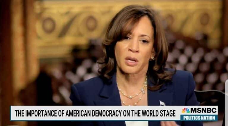 Two Peas In a Pod. Kamala Harris Talks to Al Sharpton About “What Erosion of Democracy Will Mean” (VIDEO)