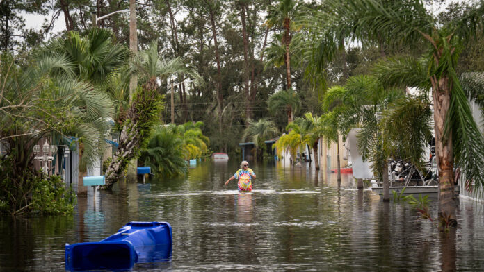 Hurricane survival and prepping